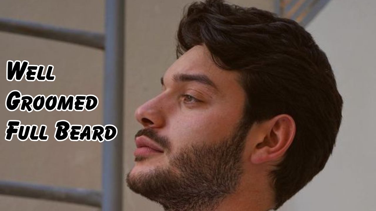 well groomed full beard