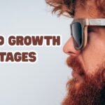 Beard Growth Stages