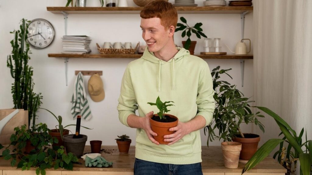 Eco Friendly Sweatshirts